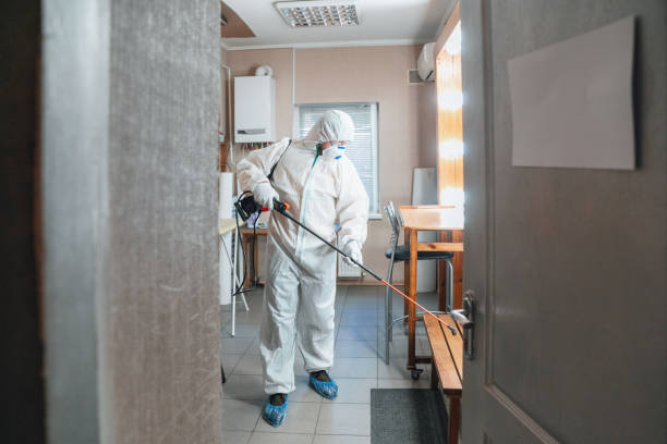 Best Mold Prevention Services  in Portland, MI