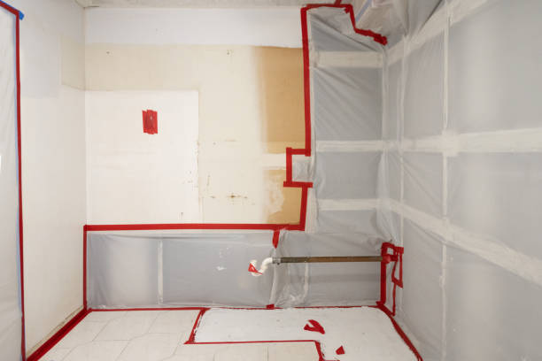 Biohazard Mold Removal in Portland, MI