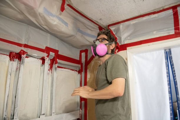 Best Attic Mold Removal  in Portland, MI